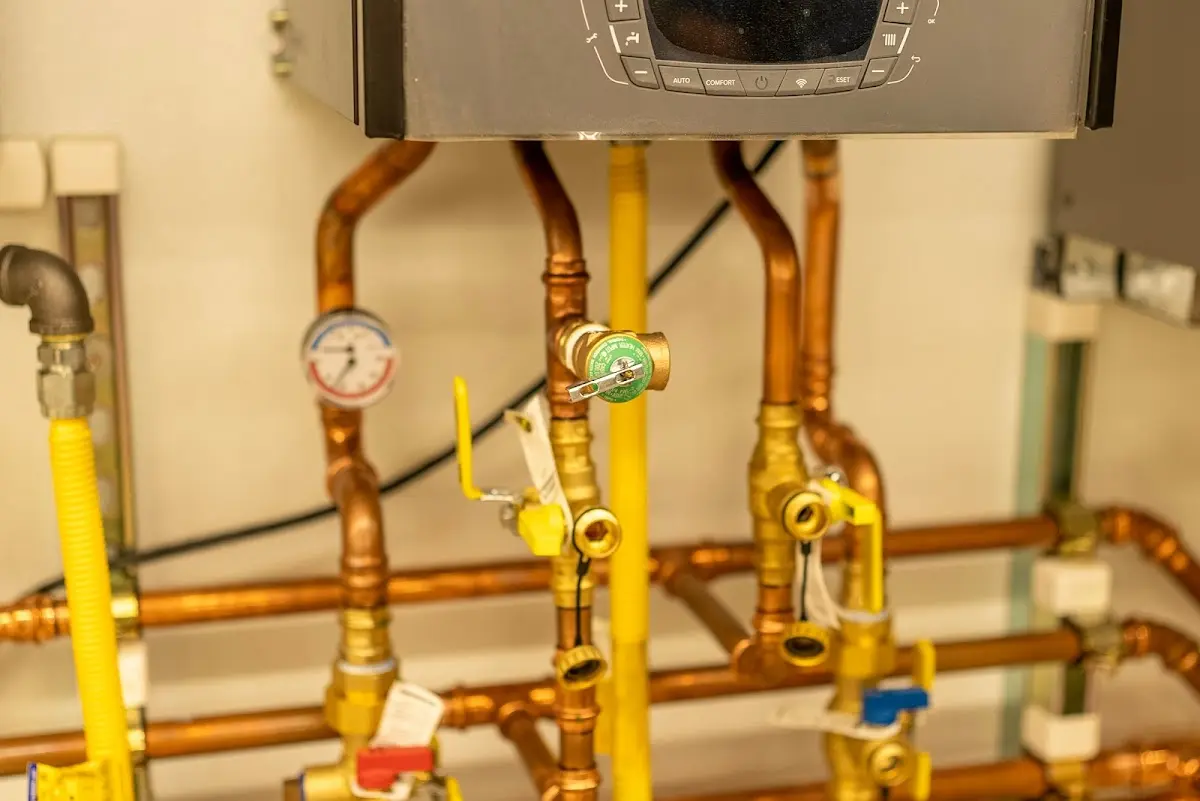 Licensed technician providing Sump Pump Repair for a homeowner in Riva